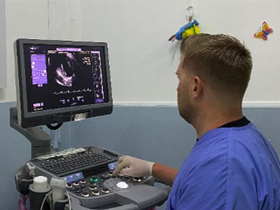 mauritius-tavr-2
